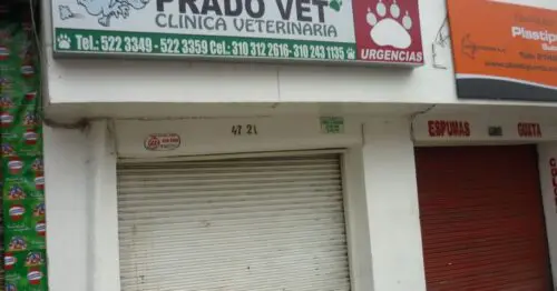 PRADO VET CALLE 129 PRADO VET CALLE 129